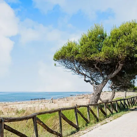 Bright Flat With Shared Pool * ביביונה